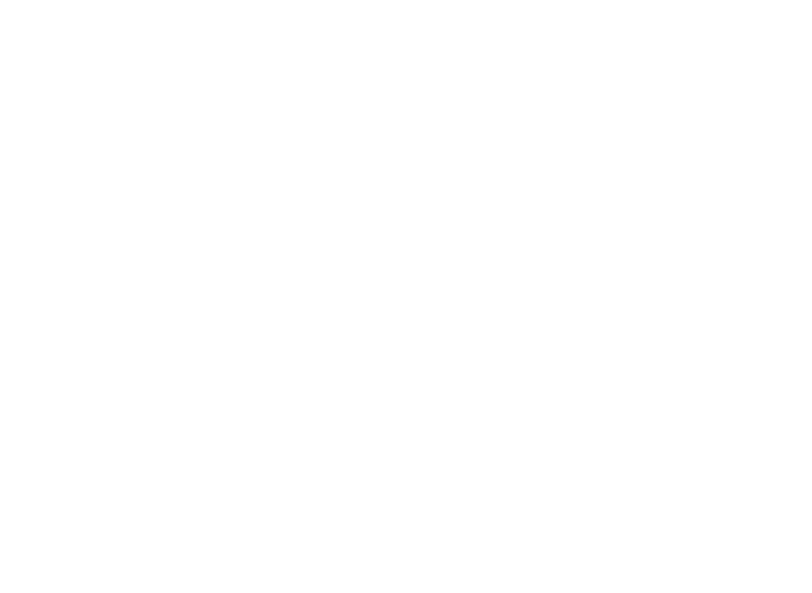 ALTE 69